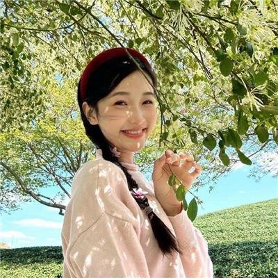 雌雄双谍